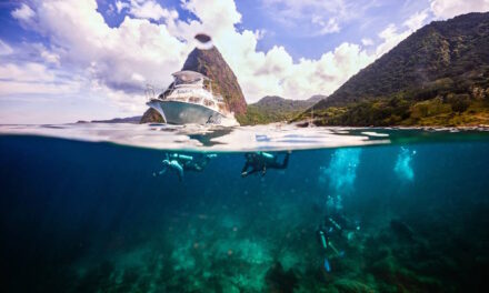 Die Karibik unter Wasser mit Sandals Resorts