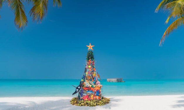 Weihnachten mit Mantarochen und Piraten unter Palmen