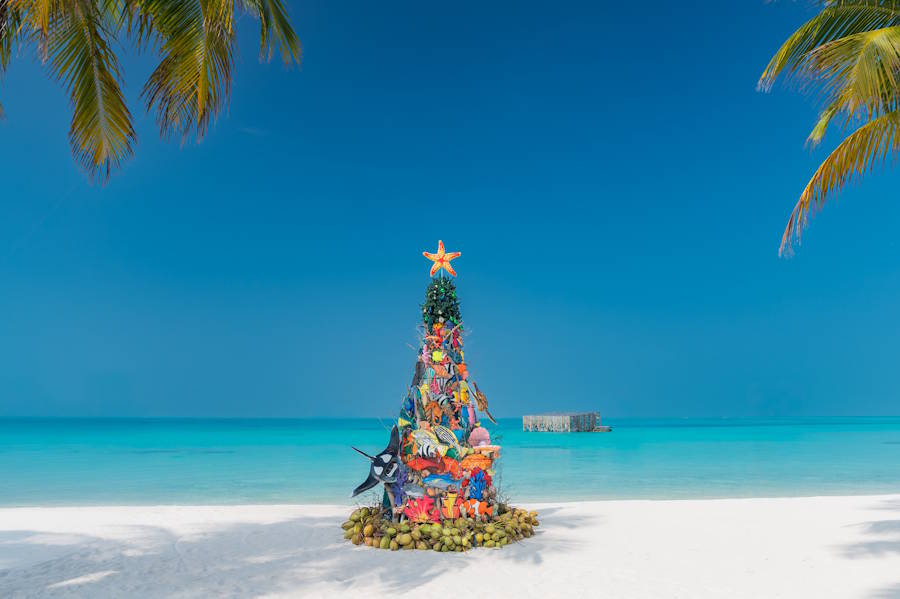 Weihnachten mit Mantarochen und Piraten unter Palmen