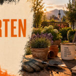 Schottergärten: Wo das Gesetz Grenzen setzt